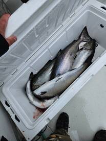 Mexico Report Photo 3