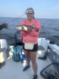 The fish have arrived!