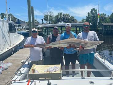 Big Shark Fishing on 1/2 day trip