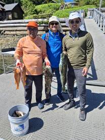 The fast few days in BAMFIELD 