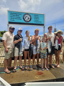 Haleiwa Report Photo 1