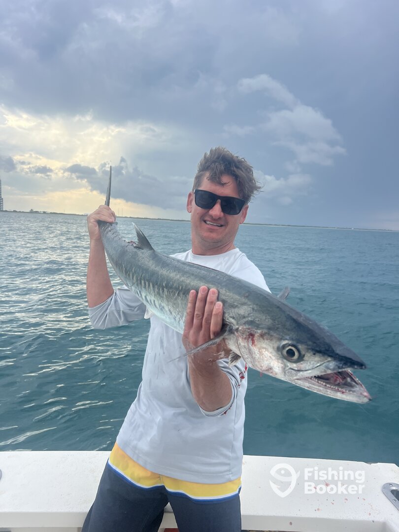 Nice King Mackerel