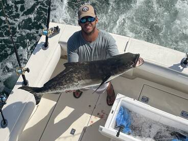Nice Cobia !
