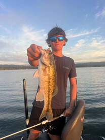 Branson Report Photo 1