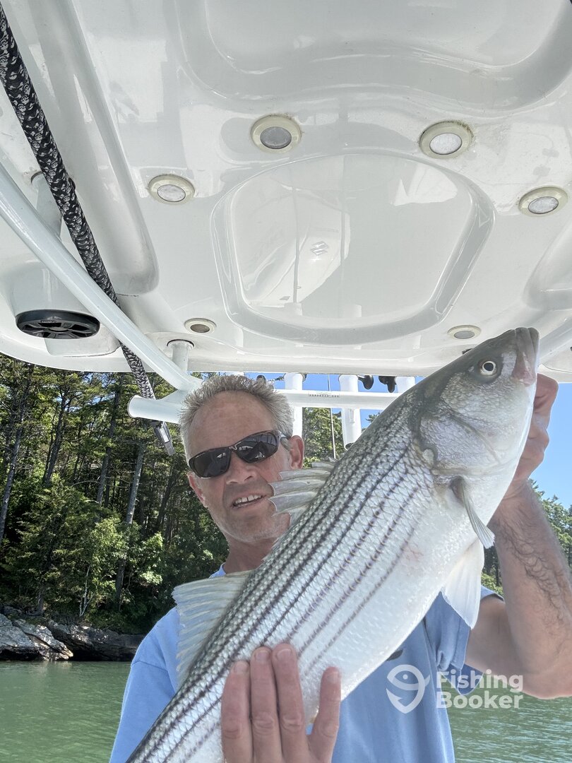 Boothbay Harbor Report Photo 0