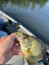 Rhinelander Report Photo 1