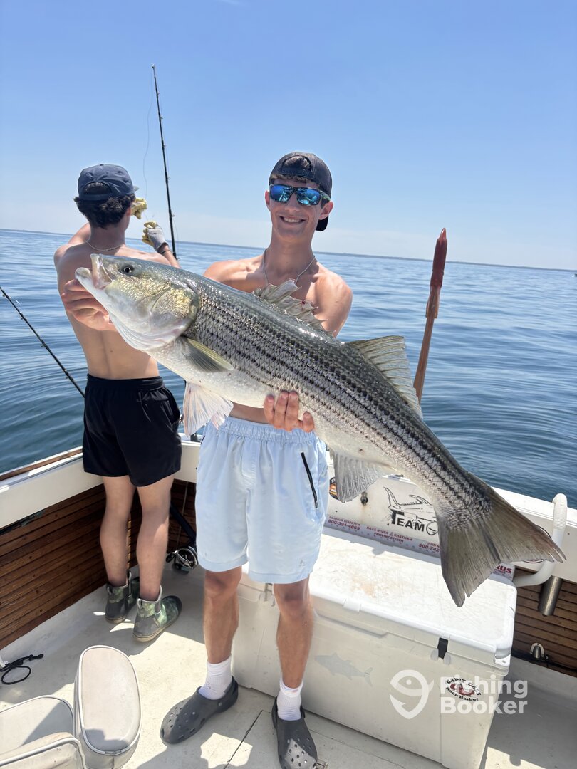 Eastham Report Photo 0