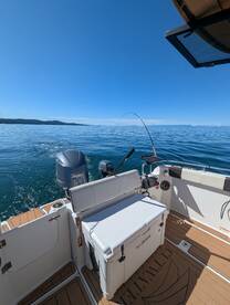 What an incredible start to the season