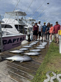 Yellowfin and Blackfin
