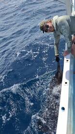 Playa Hermosa Report Photo 1