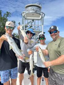 Sarasota Report Photo 1