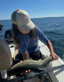 Plattsburgh Report Photo 1