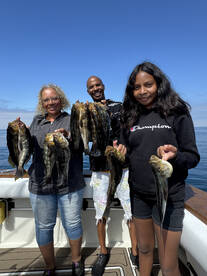 Amazing bass fishing with a bonus Seabas