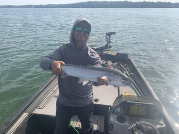 Independence Day Surprise!