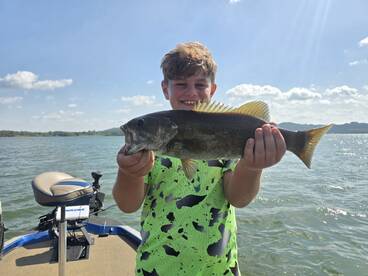 Branson Report Photo 1