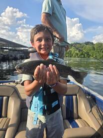 Rainbow Trout Showdown 