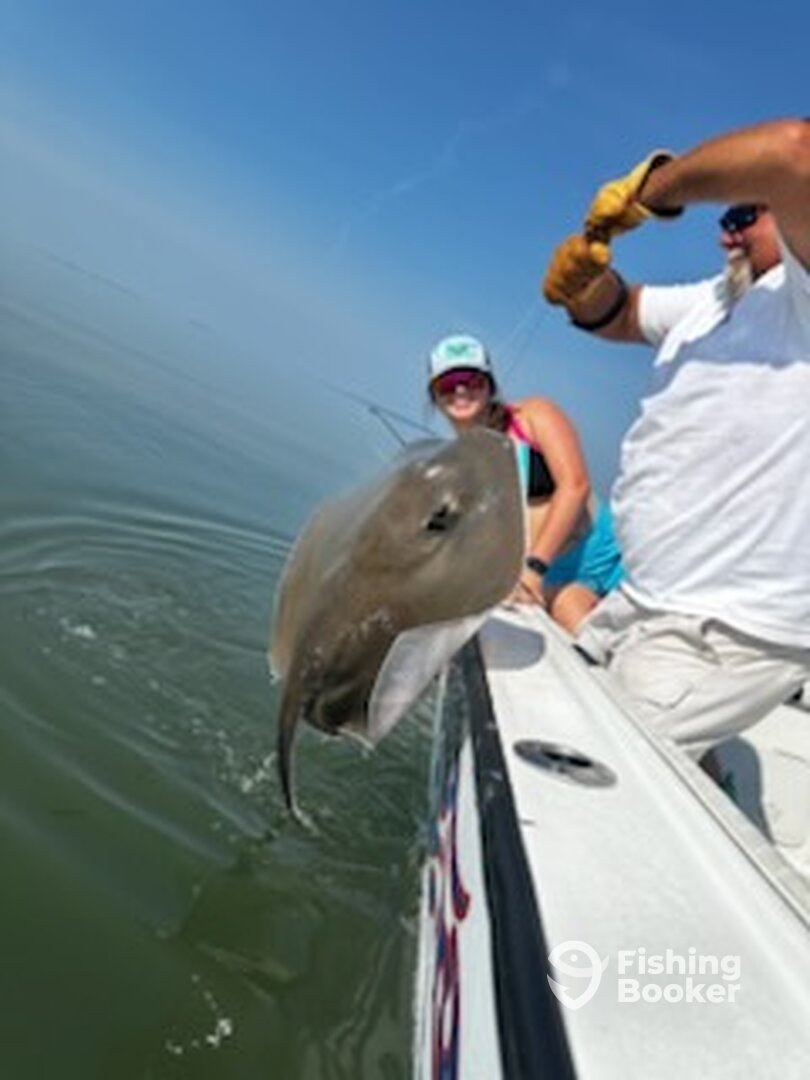 Chincoteague Report Photo 0