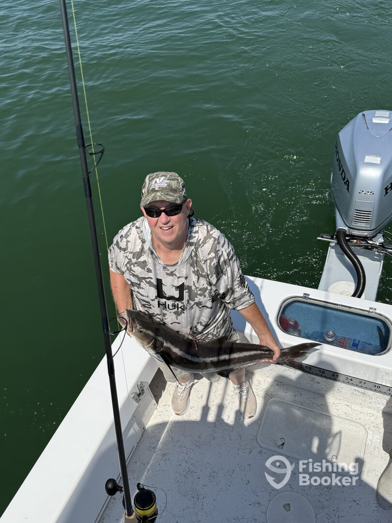 Norfolk Report Photo 0