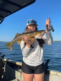 Hot weather brings a hot bite 