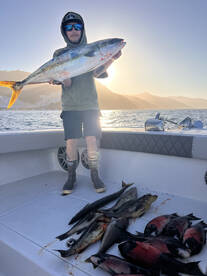 Los Angeles Report Photo 1