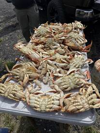 Garibaldi Report Photo 2