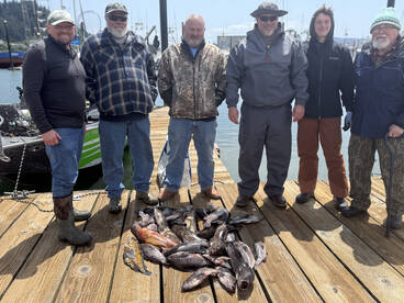 Garibaldi Report Photo 1