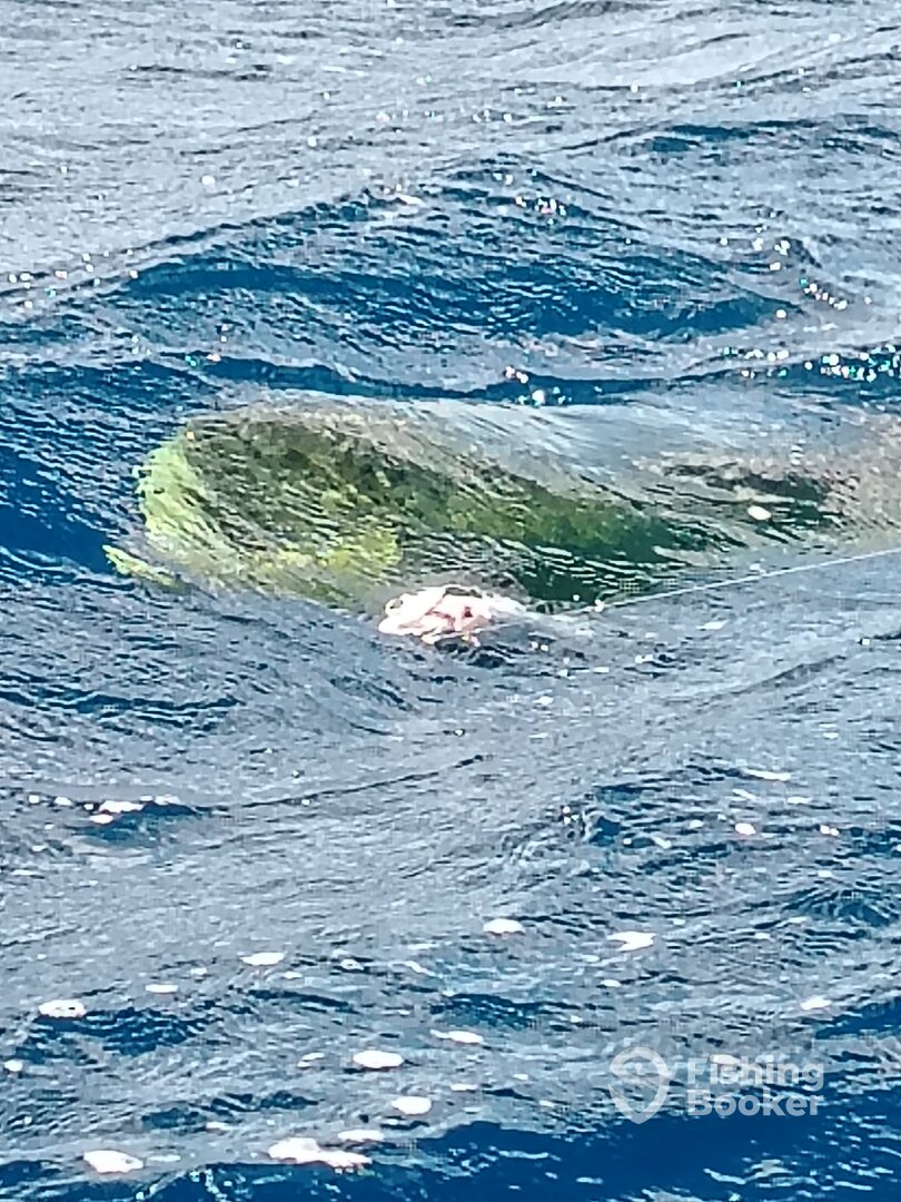 Trou Aux Biches Report Photo 0