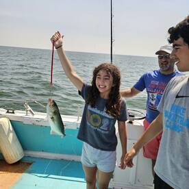 Solomons Report Photo 2