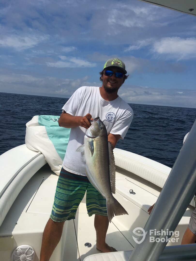 Virginia Beach Report Photo 0