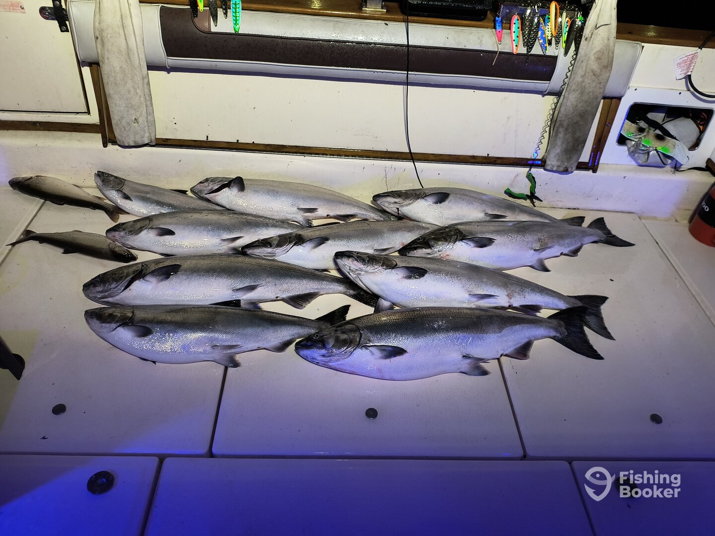 St. Joseph Report Photo 0