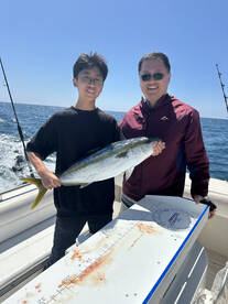 Yellowtail and Bluefin are here!