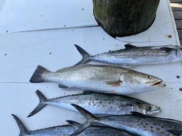 Foto Report Fort Morgan 1