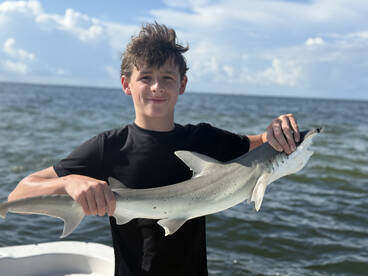 St. Petersburg Report Photo 1