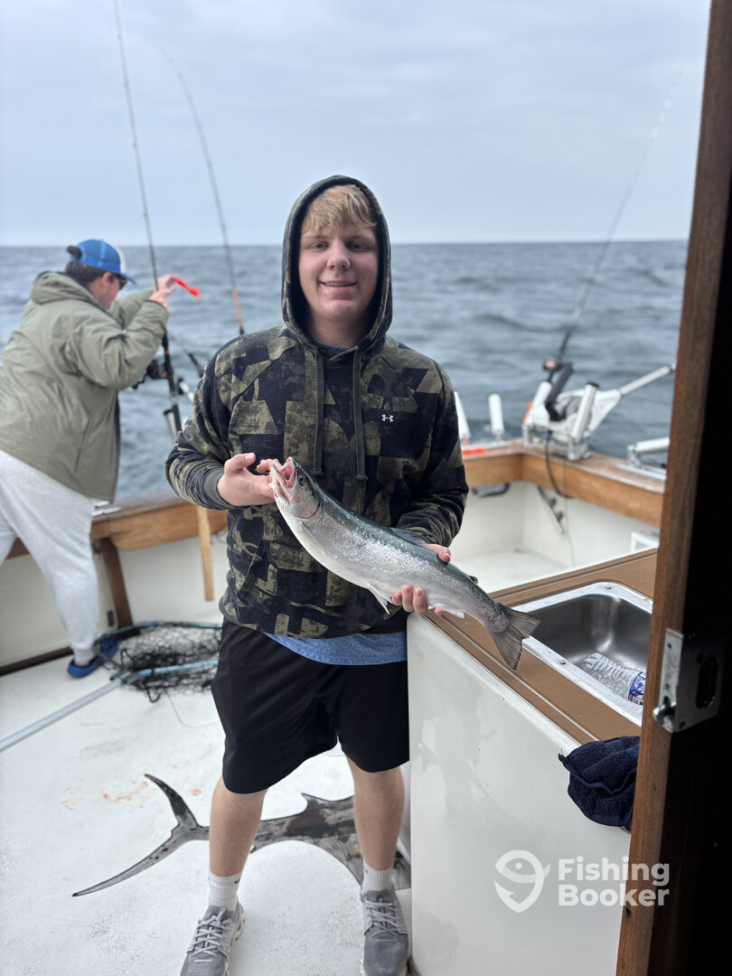 Olcott Report Photo 0