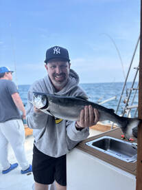 Olcott Report Photo 1