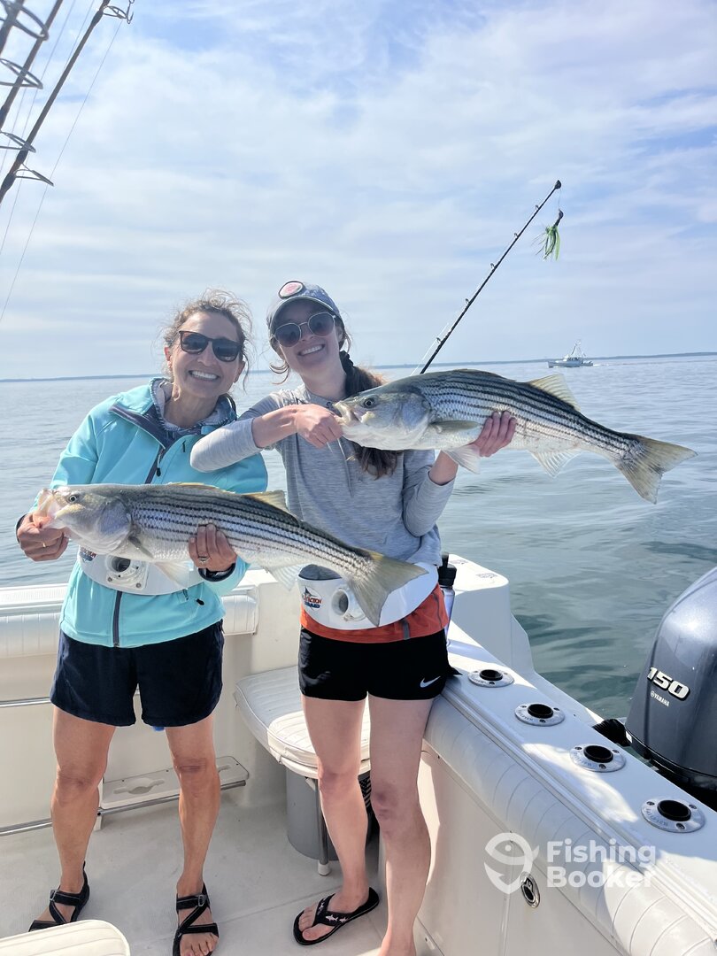 Dennis Report Photo 0