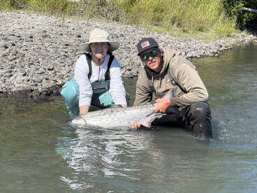 Fish count: over 420,000 red salmon!