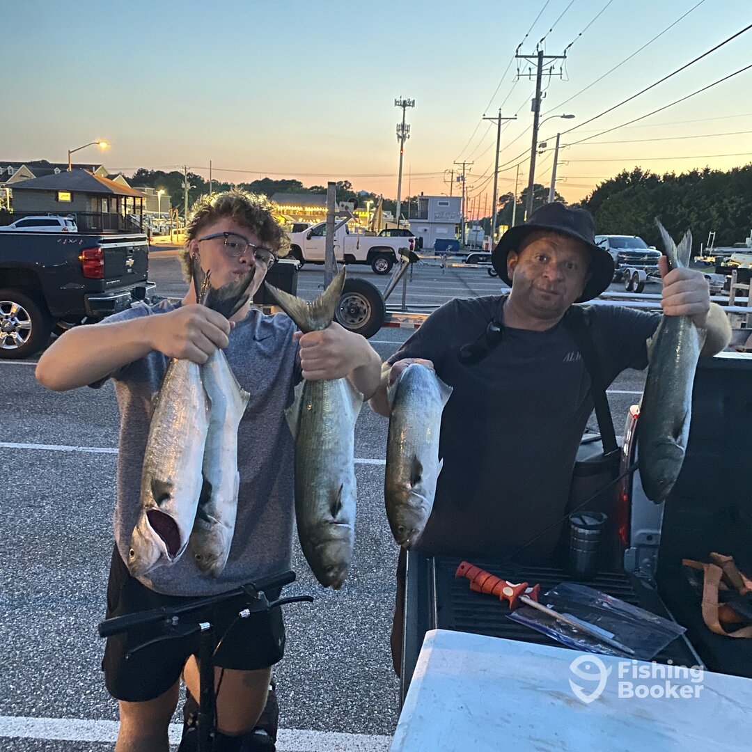 Ocean City Report Photo 0