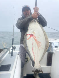The big ocean halibut have showed 