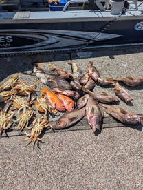 Great! 4th of July trip