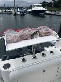 Dennis Report Photo 1