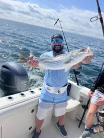 Crushing the striped bass