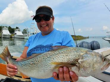 After Work Weakfish