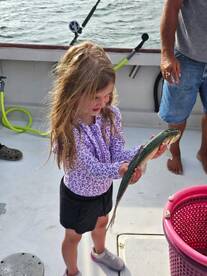 3 hr Gilligan Sunset Tour