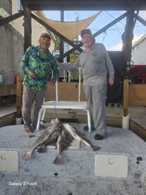 Awesome mornings of fishing