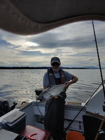 Chinook & coho salmon action!