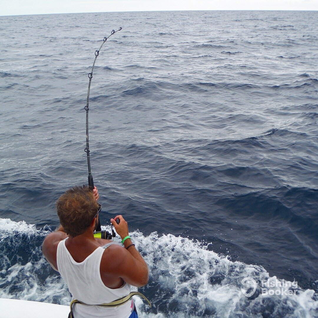 Quepos Report Photo 0