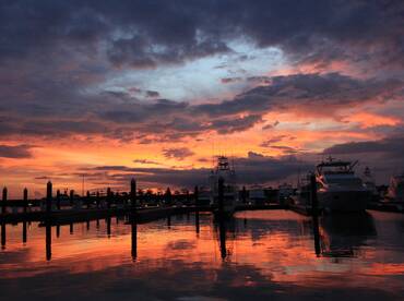 Quepos Report Photo 2