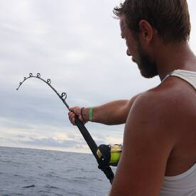 Quepos Report Photo 1