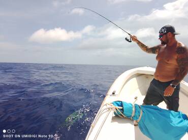 Hopkins Report Photo 3